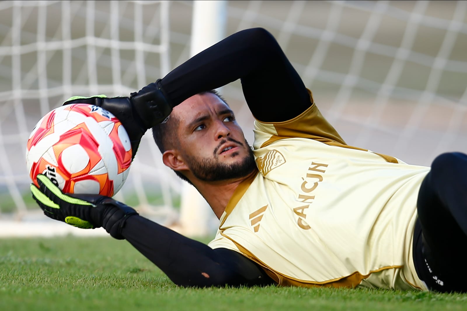 WhatsApp Image 2025-09-22 at 8.17.27 PM