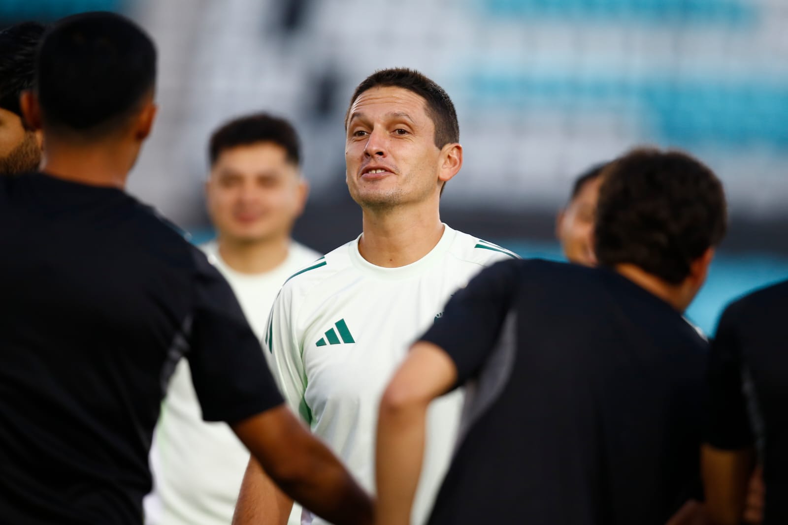 iguana1miguelbravoDT