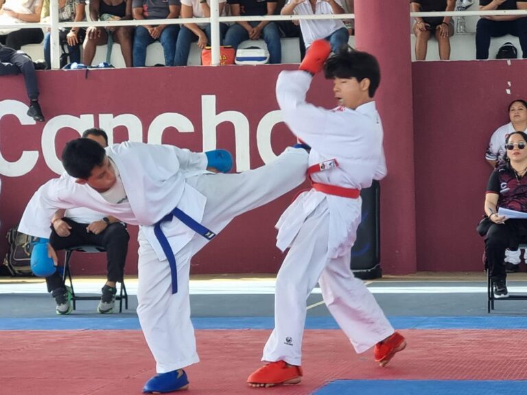karate1