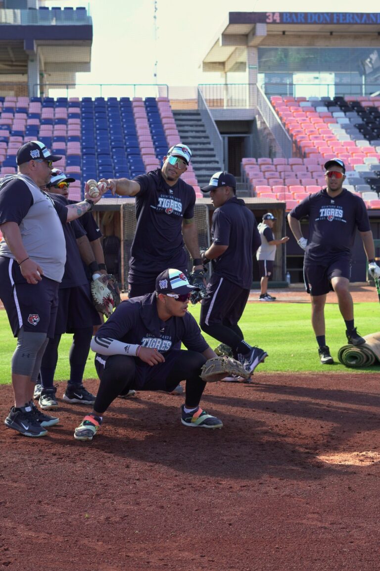 tigres2