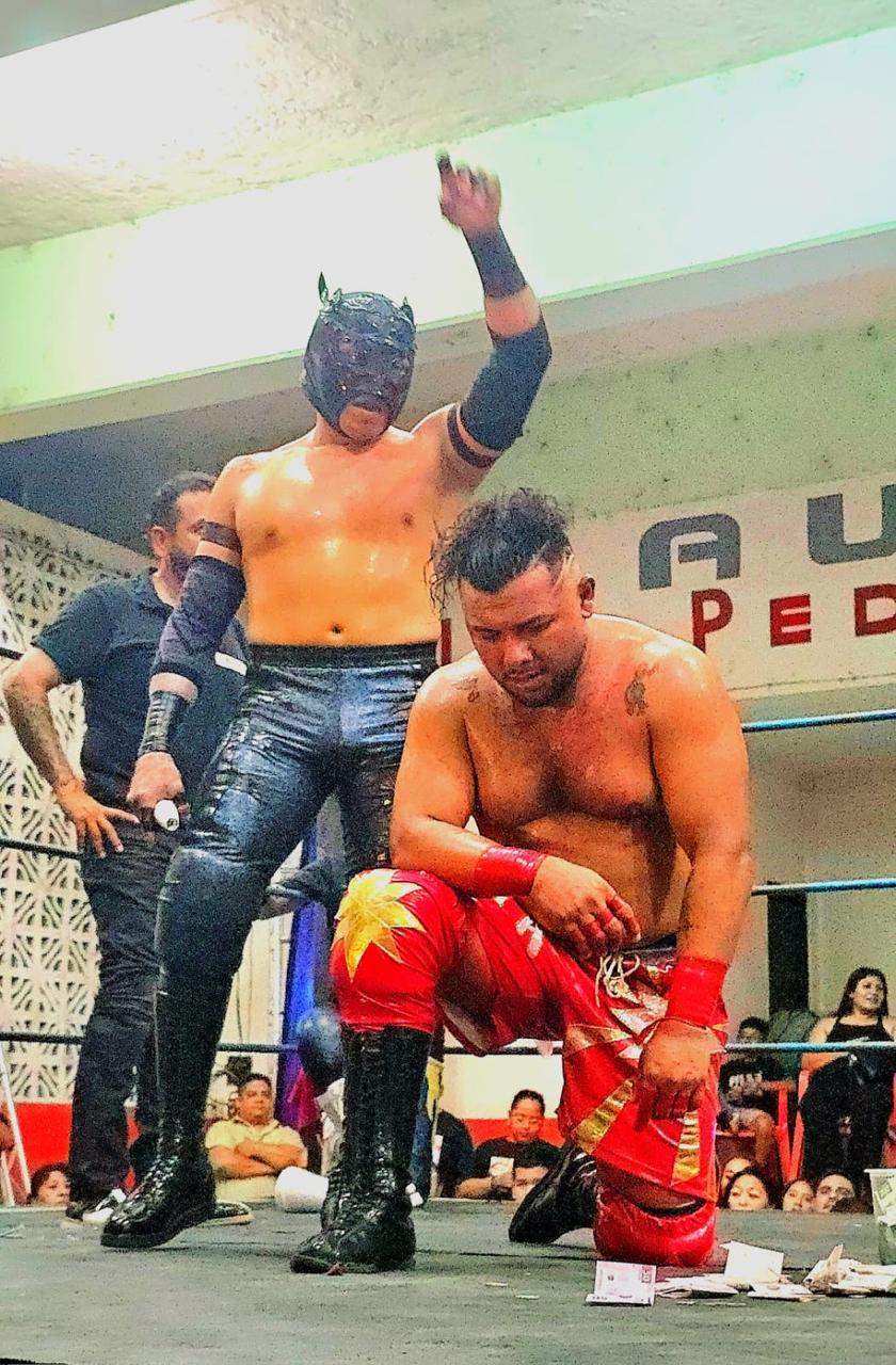 lucha1tigerfly