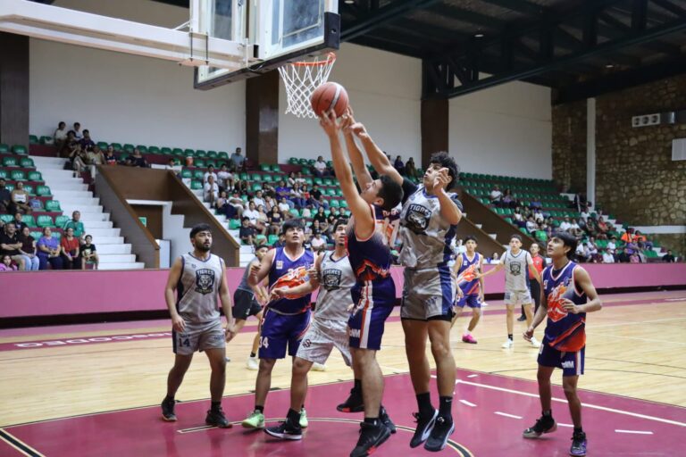 basket